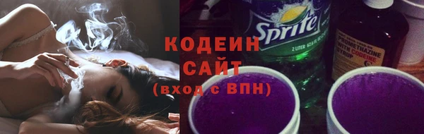крисы Абаза