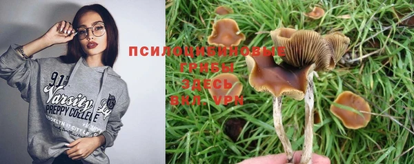 стафф Абинск