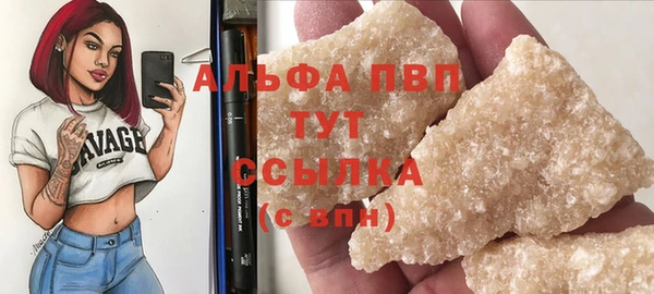 крисы Абаза