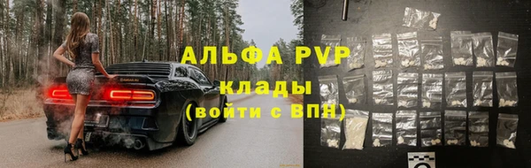 крисы Абаза