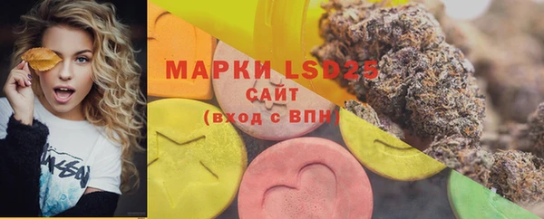крисы Абаза