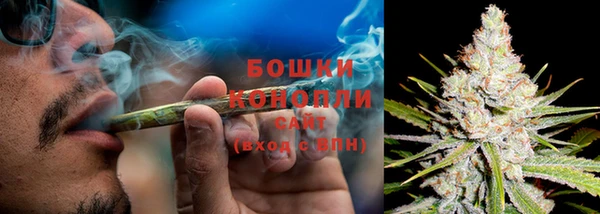 дживик Горняк