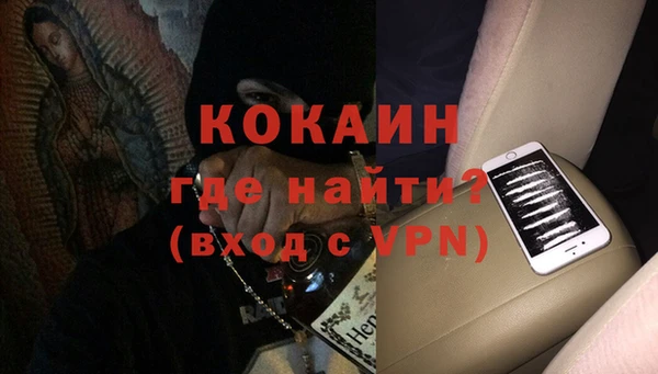 крисы Абаза