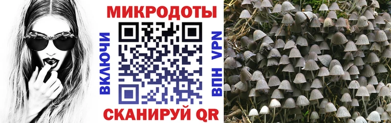 Псилоцибиновые грибы GOLDEN TEACHER  Волоколамск 