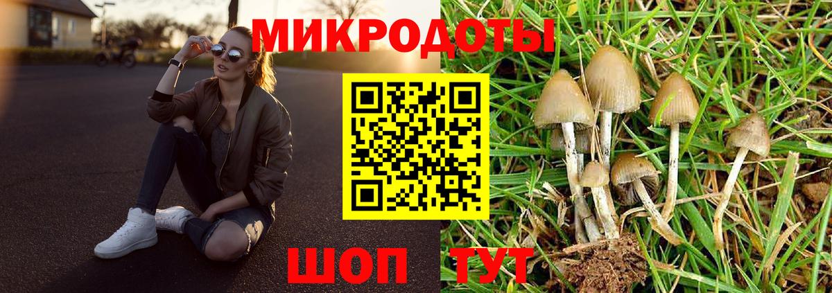 Псилоцибиновые грибы Psilocybine cubensis Волоколамск