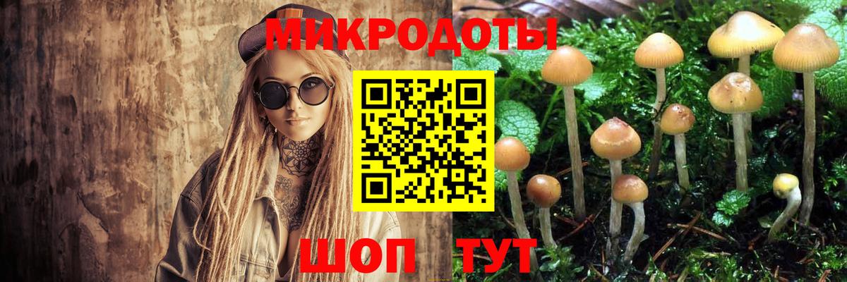 Волоколамск  Псилоцибиновые грибы Psilocybe  Вход с VPN 